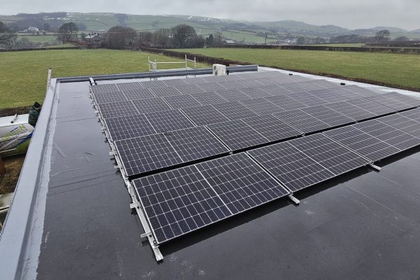 Pennington Nursery 01 Pennington Nursery 01